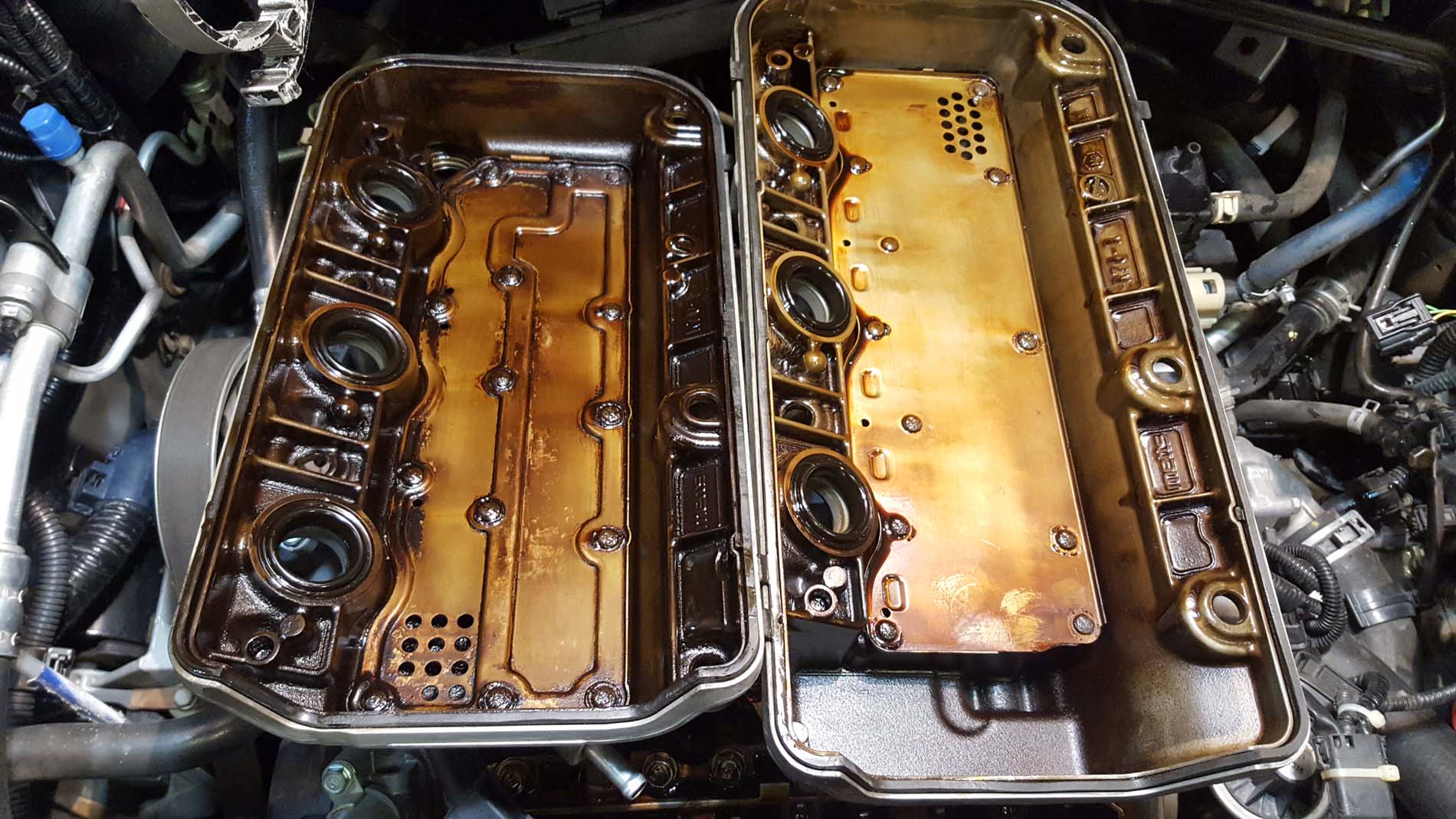 крышки.jpg