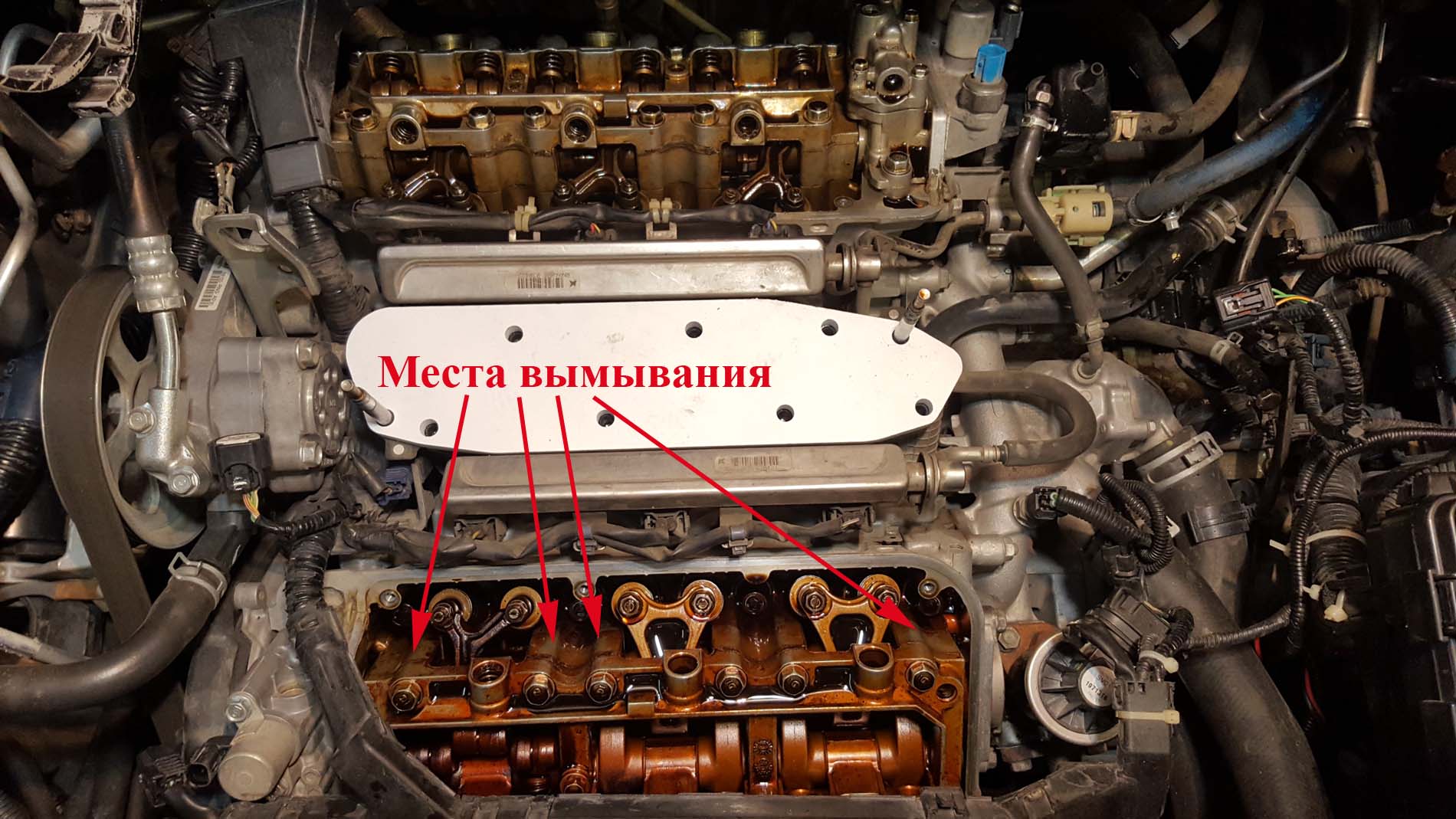 мотор.jpg