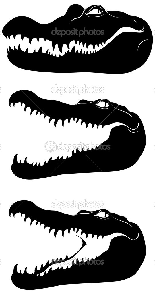 depositphotos_26077287-stock-illustration-black-head-of-crocodile.jpg