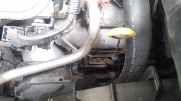 IMG_20170822_174649.jpg