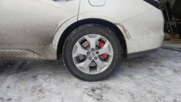 IMG_20180318_154852.jpg