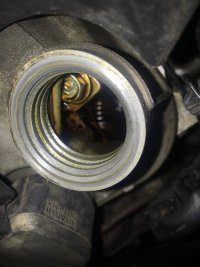 45B08232-0030-4E86-B429-BC596A330D94.jpeg
