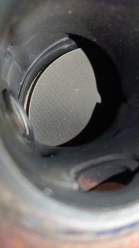 DSC_0147.jpg