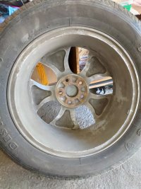 IMG_20210404_131536.jpg