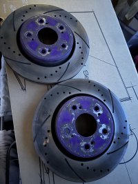 IMG_2030.jpeg