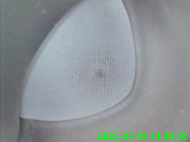 20230729_14_45_52.png